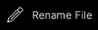 RenameFileCommand.png