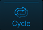 Cycle Flag Type.png