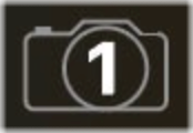 The Snapshot Panel button