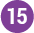 Item 15.