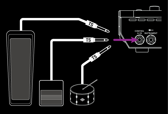 Pedal_or_Switch_TS_Connect_Stadium_WhiteOnBlack.jpg