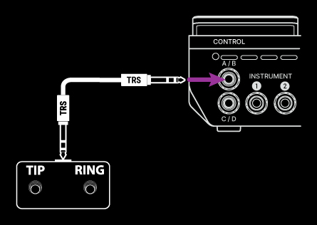 DualSwitchTRS_WhiteOnBlack.jpg