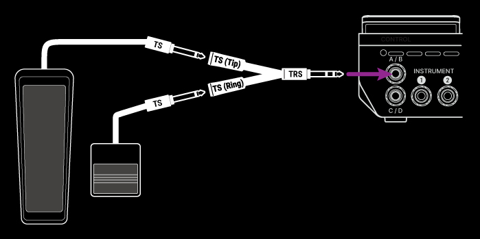 Pedal_and_Switch_TS-TRS_Connect_WhiteOnBlack.jpg