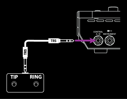 DualControllerTRS_Stadium_WhiteOnBlack.jpg
