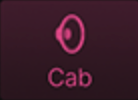 Cab Category Button.png