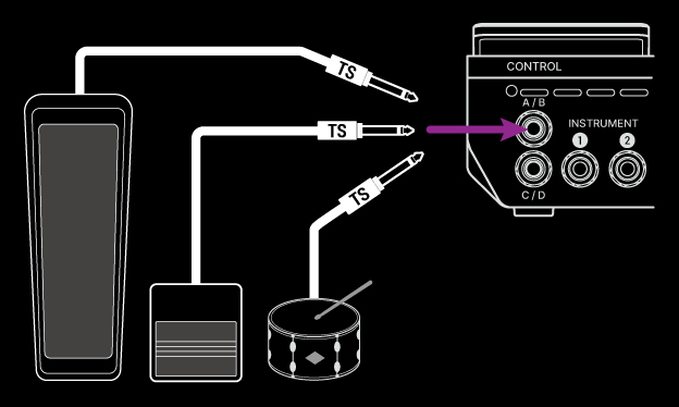 Pedal_or_Switch_TS_Connect_WhiteOnBlack.jpg