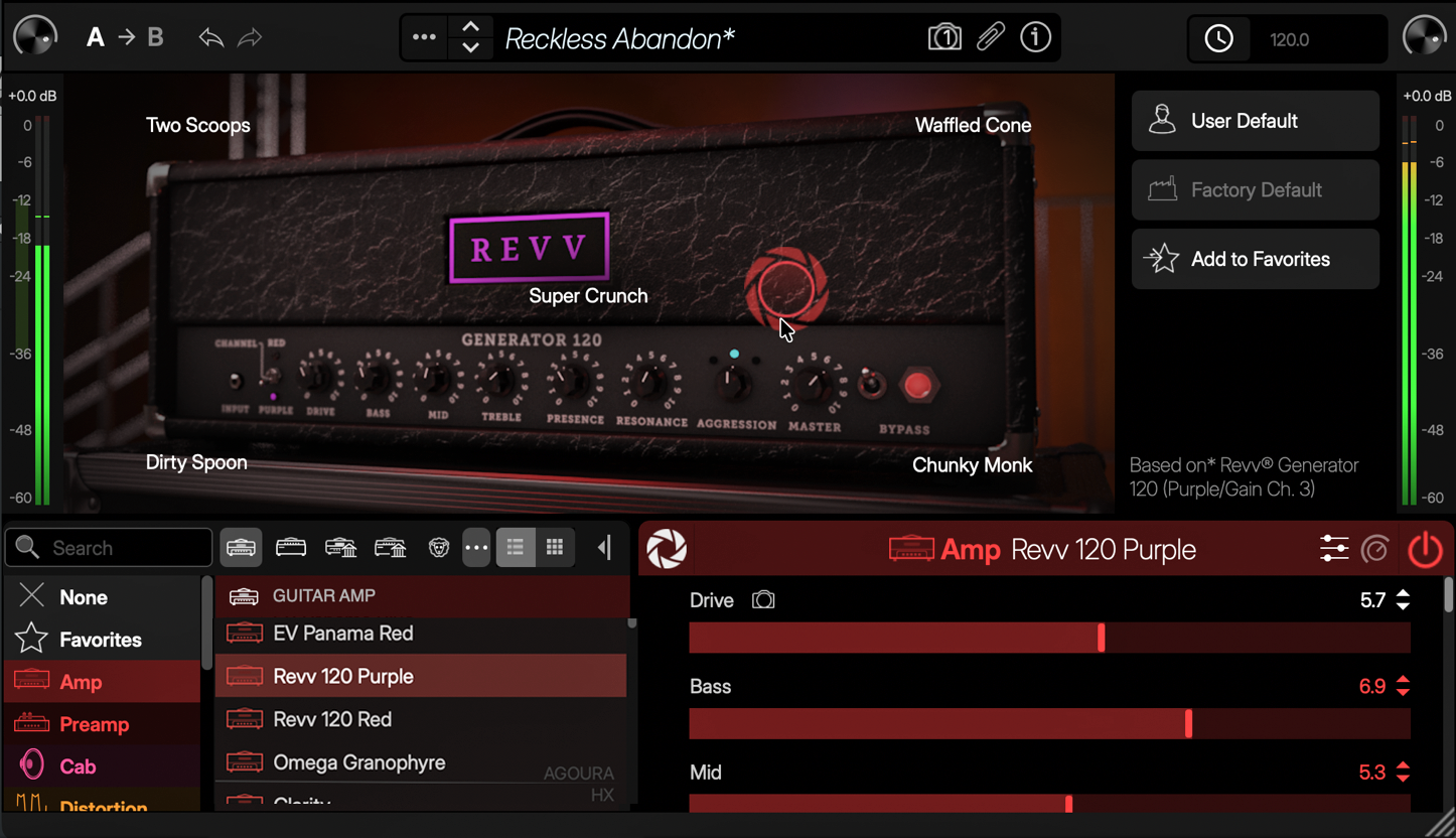 FocusView-Amp_Native.png