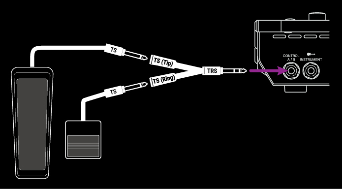 Pedal_and_Switch_TS-TRS_Connect_Stadium_WhiteOnBlack.jpg