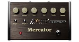 Model_Icon_Distortion-Mercator.png